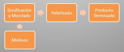 Produccion y Transformacion